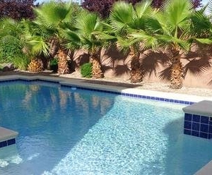 Photo of New West Property Management