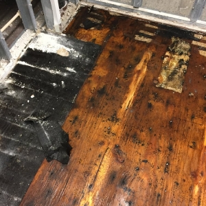 Photo of Dry Tech 24/7