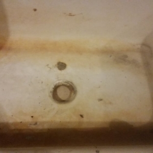 Photo of Surface Renew