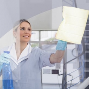 Rowlett Business Cleanse