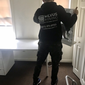 Photo of Milvus Moving