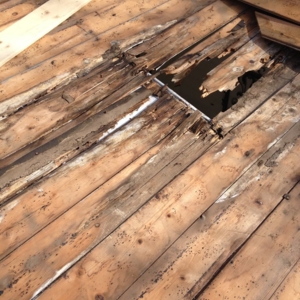 Photo of Lafayette Handyman Service