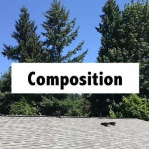 Photo of Sherpa Roofing & Construction