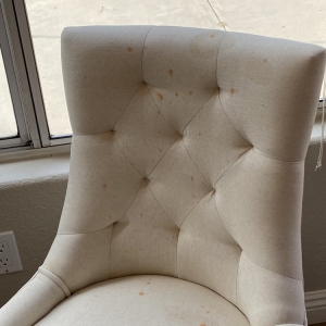 Photo of D Maxx Quality Carpet & Upholstery Care