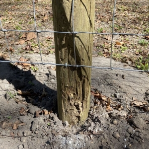 Photo of Gainesville Fence