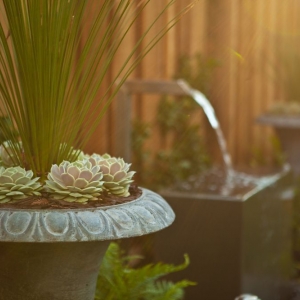 Photo of Modern Landscaping