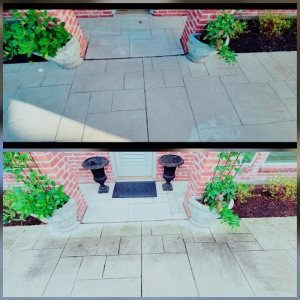 Photo of Scotts Cleaning Services
