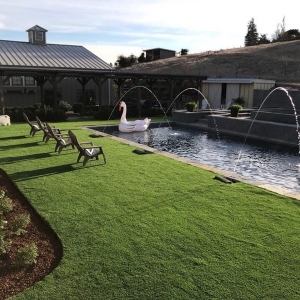 Photo of The Turf Depot