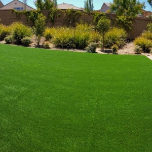 Photo of The Turf Depot