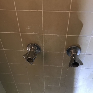 Photo of Quality Plumbing and Drain Service