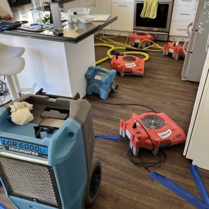 Photo of AAA Water Restoration