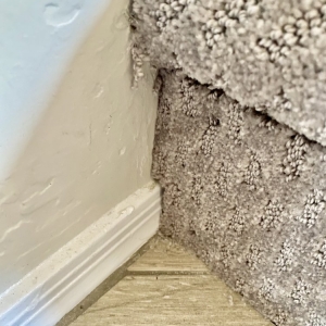 Photo of AZ Discount Flooring Specialists