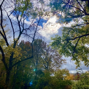 Photo of Upton Oxmoor