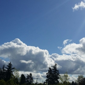 Photo of BlueSky Professional Services