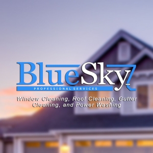 Photo of BlueSky Professional Services