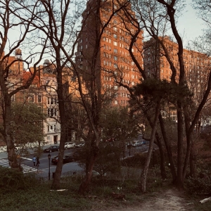 Photo of Westside Management