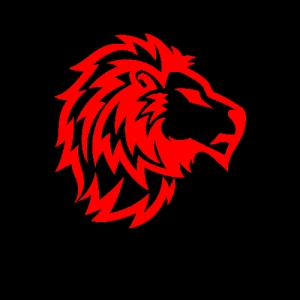 Photo of Lion Business Brokers