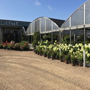Photo of Homesley Nursery & Landscape