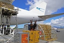 Photo of Stegall Transportation and Logistics