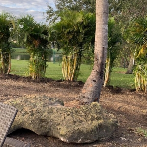 Photo of The Landscaping People