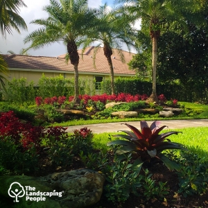 Photo of The Landscaping People