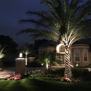 Photo of The Landscaping People