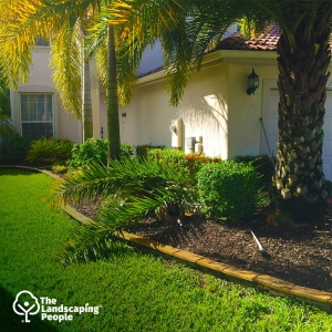Photo of The Landscaping People