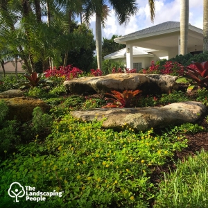 Photo of The Landscaping People