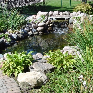 Photo of Gary's Finer Landscapes