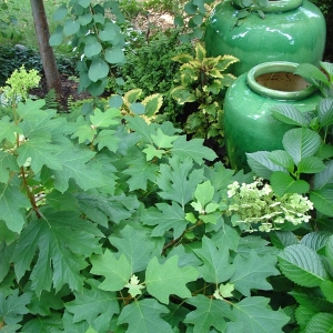 Photo of Gary's Finer Landscapes