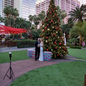 Photo of Michelle's Wedding & Party Planner