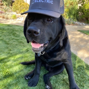 Photo of 1 Click Electric