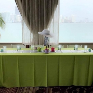 Photo of DIS-SAL Party Planning