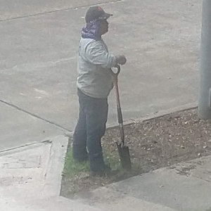 Houston Burns Landscaping