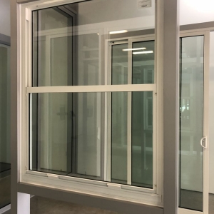 Photo of Primary Windows