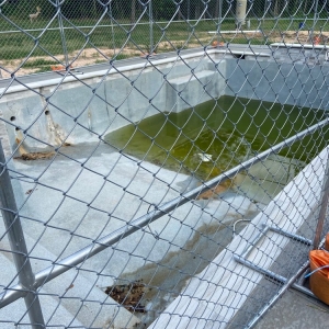 Photo of Backyard Paradise Luxury Pools