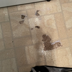 Photo of We Clean Carpet