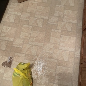 Photo of We Clean Carpet