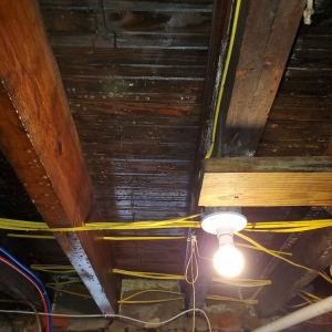 Photo of AMS Restoration