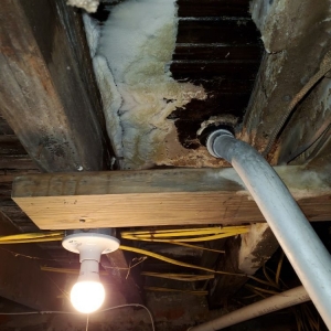Photo of AMS Restoration