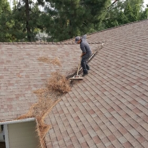 Photo of Mr Gutter OC