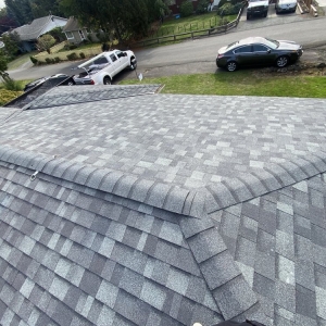 Photo of Rain Proof Roofing