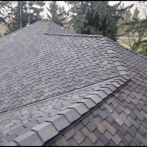 Photo of Rain Proof Roofing