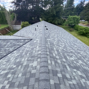 Photo of Rain Proof Roofing