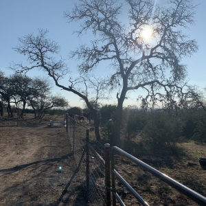 Photo of Hill Country Fence and Ranch