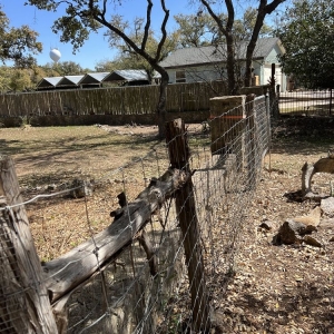 Photo of Hill Country Fence and Ranch