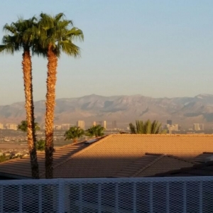 Photo of American Beauty Landscapes
