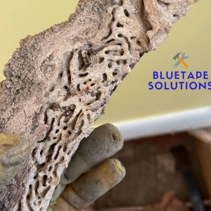Photo of BlueTape Solutions