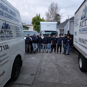 Photo of Pro Attic Restoration