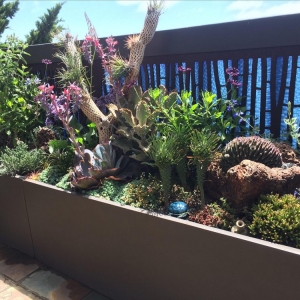 Photo of Garden Air